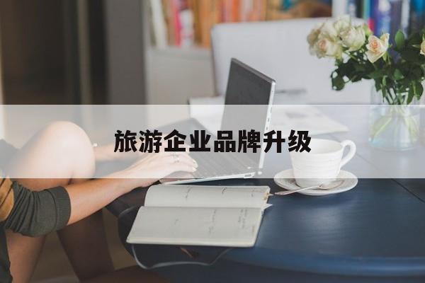 银川市旅游企业品牌升级(旅游企业品牌升级措施)