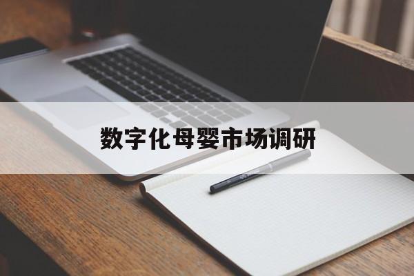 银川市数字化母婴市场调研(数字化母婴市场调研报告)